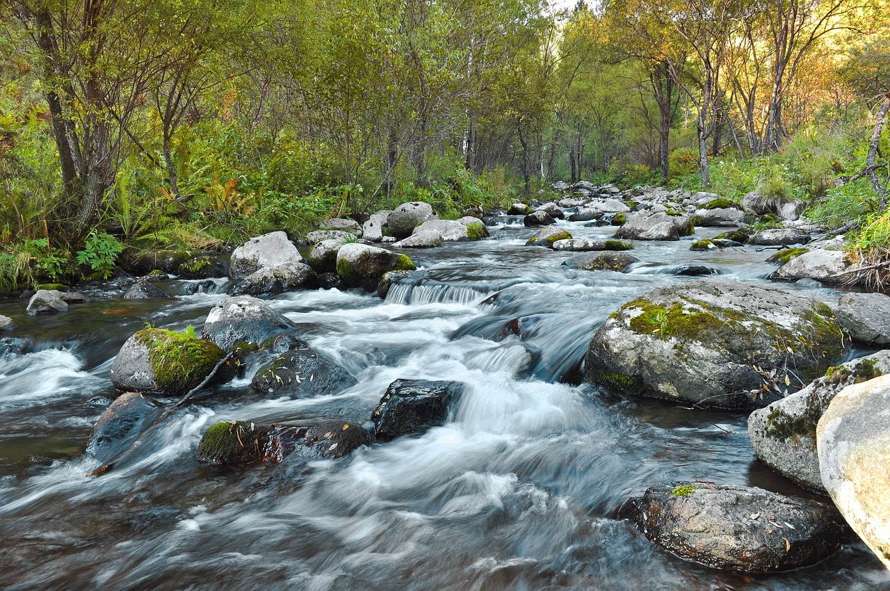 The Ultimate Guide to Exploring the Cascades